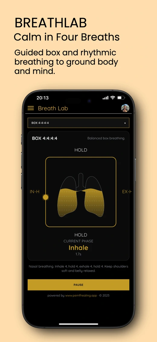 Frequency Healing: PEMF Pro screenshot 7