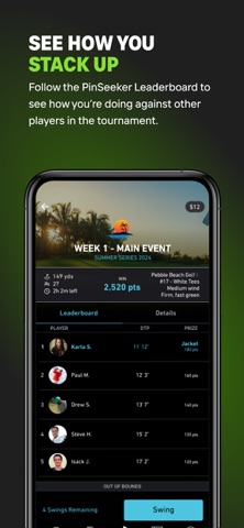PinSeeker Game screenshot