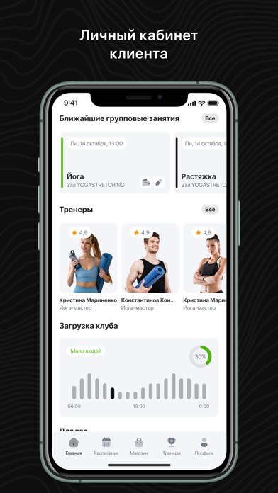 IVICHEVS screenshot