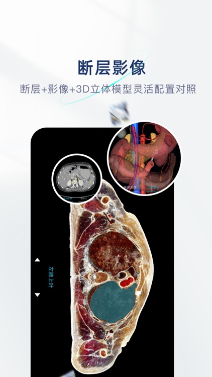 数字人解剖学STEM系统 screenshot-4