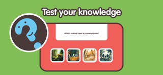Learning Animals - Toddlers Screenshot 7 of 8