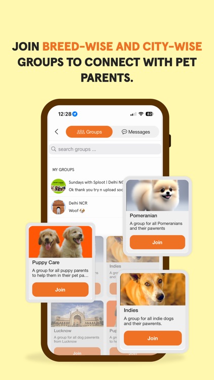 Sploot | Dog Walking, Grooming