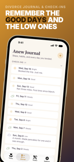 Divorce Planning AI: Anew screenshot 9