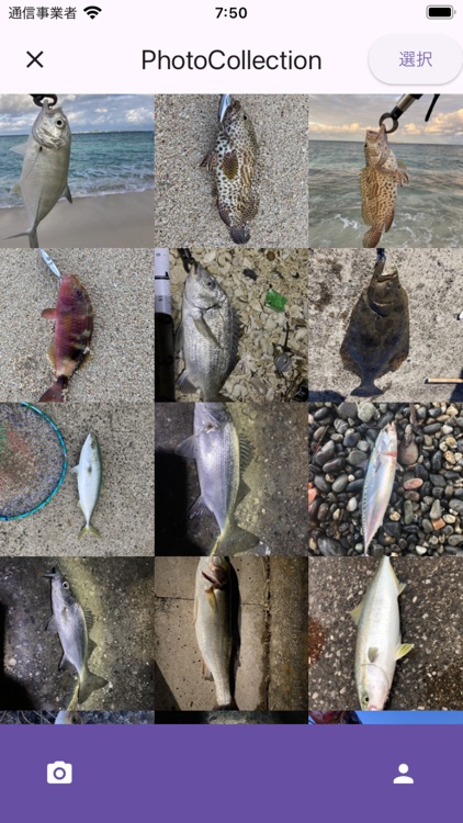 catchsnap screenshot-7