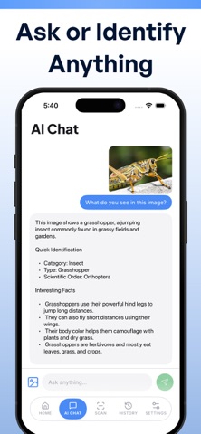 Lenzy for Google Lens AI iPhone screenshot
