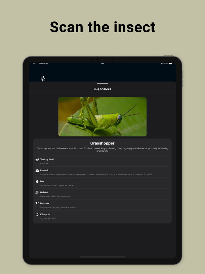 Bug Identifier GPT AI Camera