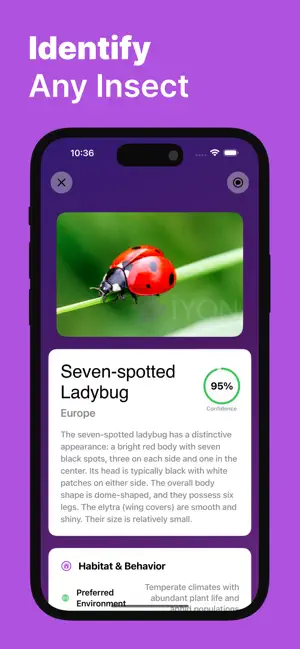 Bug Identifier - Buggy screenshot 1