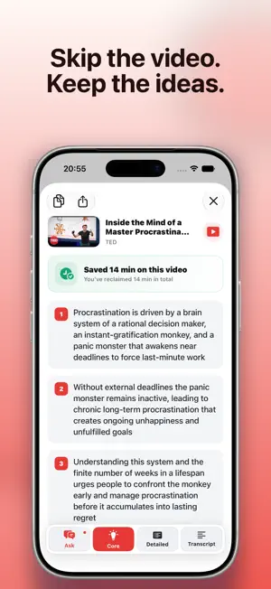 TLDW: YouTube Summaries screenshot 1