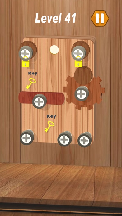 Wood Screw Puzzle Adventure Screenshot