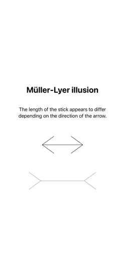 Скриншот IllusionTEST на iPhone 3