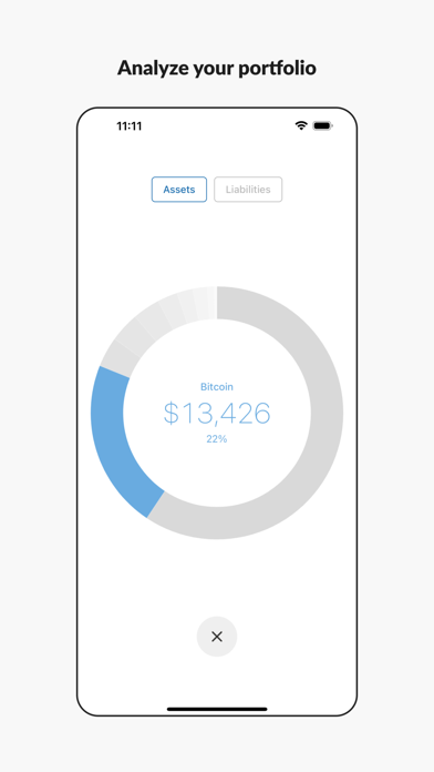 Net Worth Screenshot