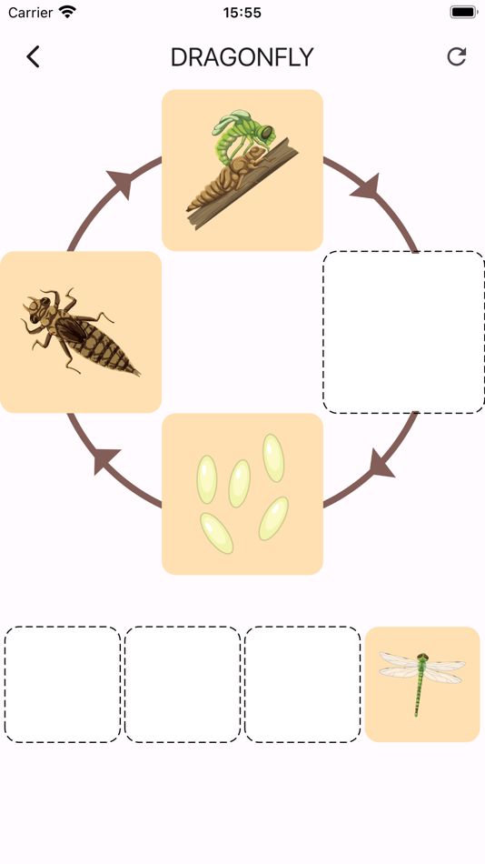 #3. Learn life cycle for toddler (iOS) 由: Tu Tran Duy