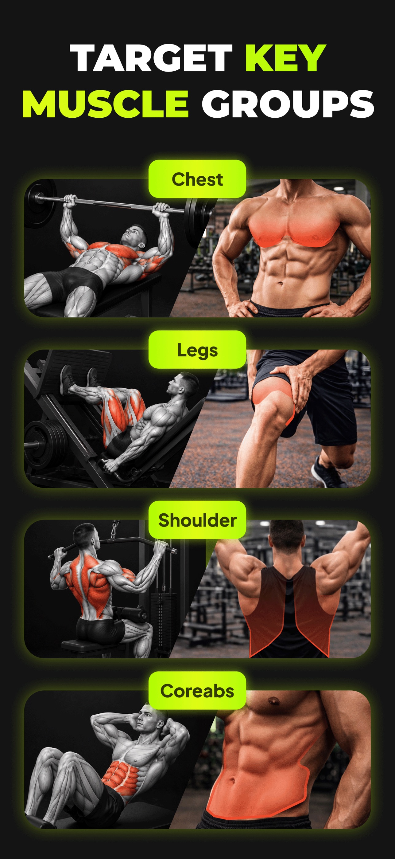 Screenshot 2 of ApexMuscle: Fitness & Planner