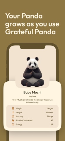 Grateful Panda: Calm Gratitude screenshot