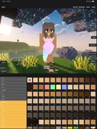 Custom Skin Creator HD ipad bilder 0