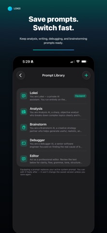 Lokei AI screenshot