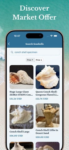 Sea Shell Identifier Collector Screenshot 6 of 7