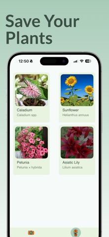 Flower Identifier: FloraAi screenshot