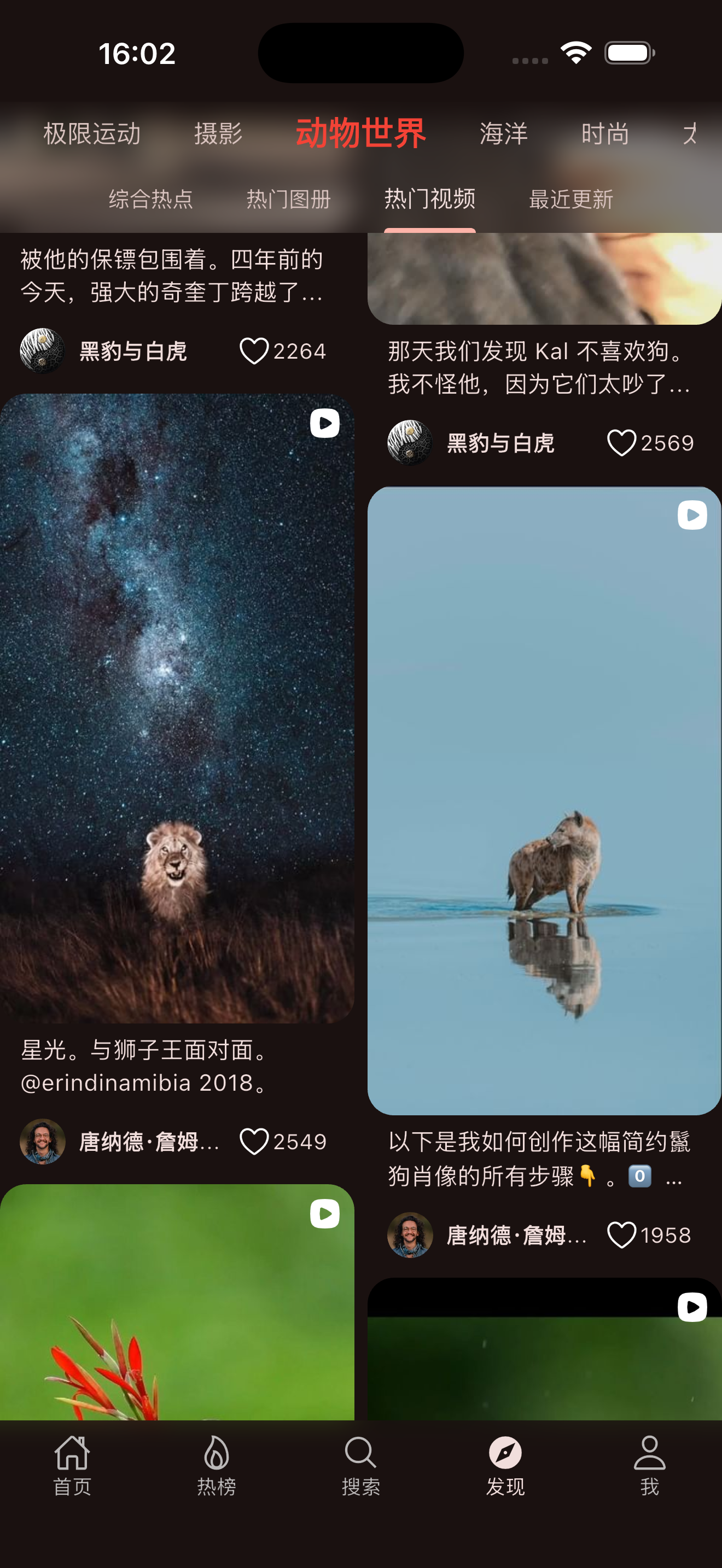 西音 - 看见缤纷世界 screenshot 3