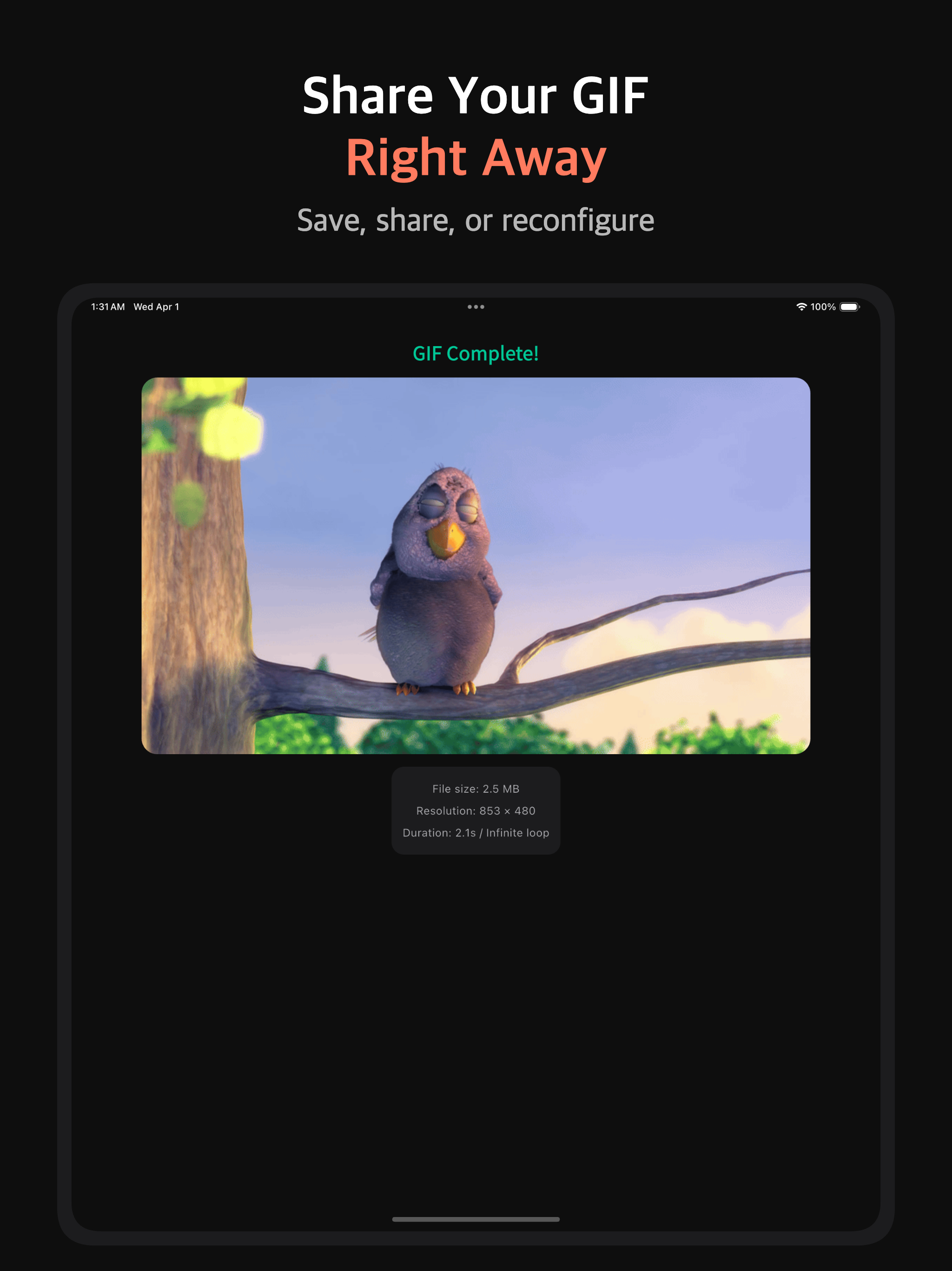 Video to GIF Converter & Maker