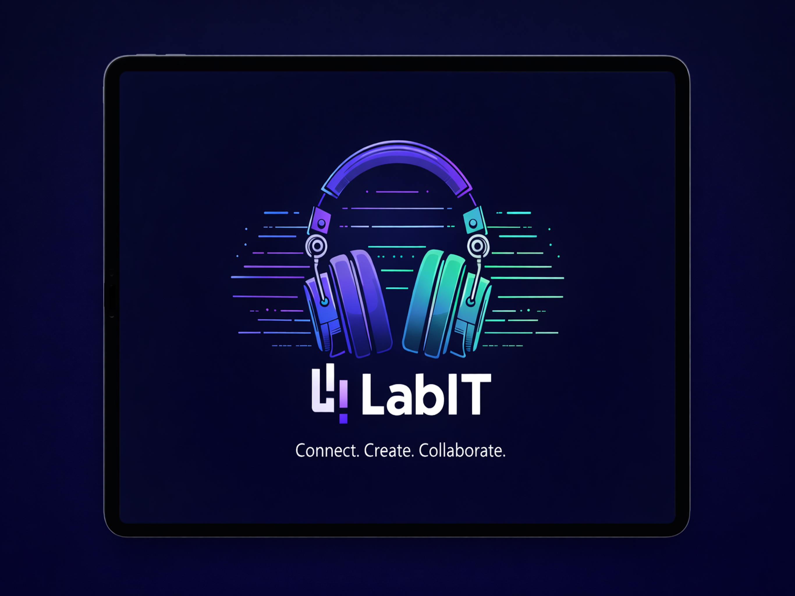LabIT Studios screenshot 8