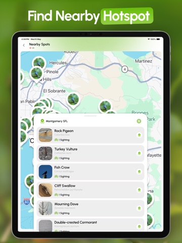 [bird identifier] by Birdby iPad screenshot