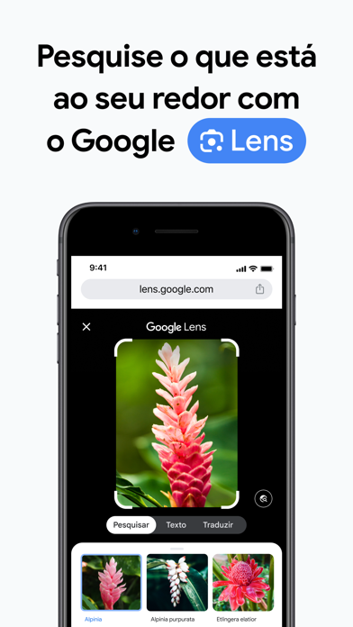 Google Chrome App Store preview screenshot 2