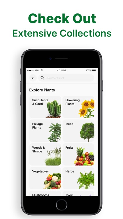 Plant Identifier App - Leafy screenshot-3