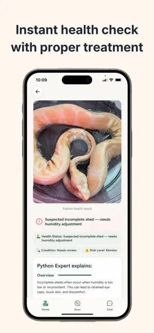 Python Expert screenshot 3
