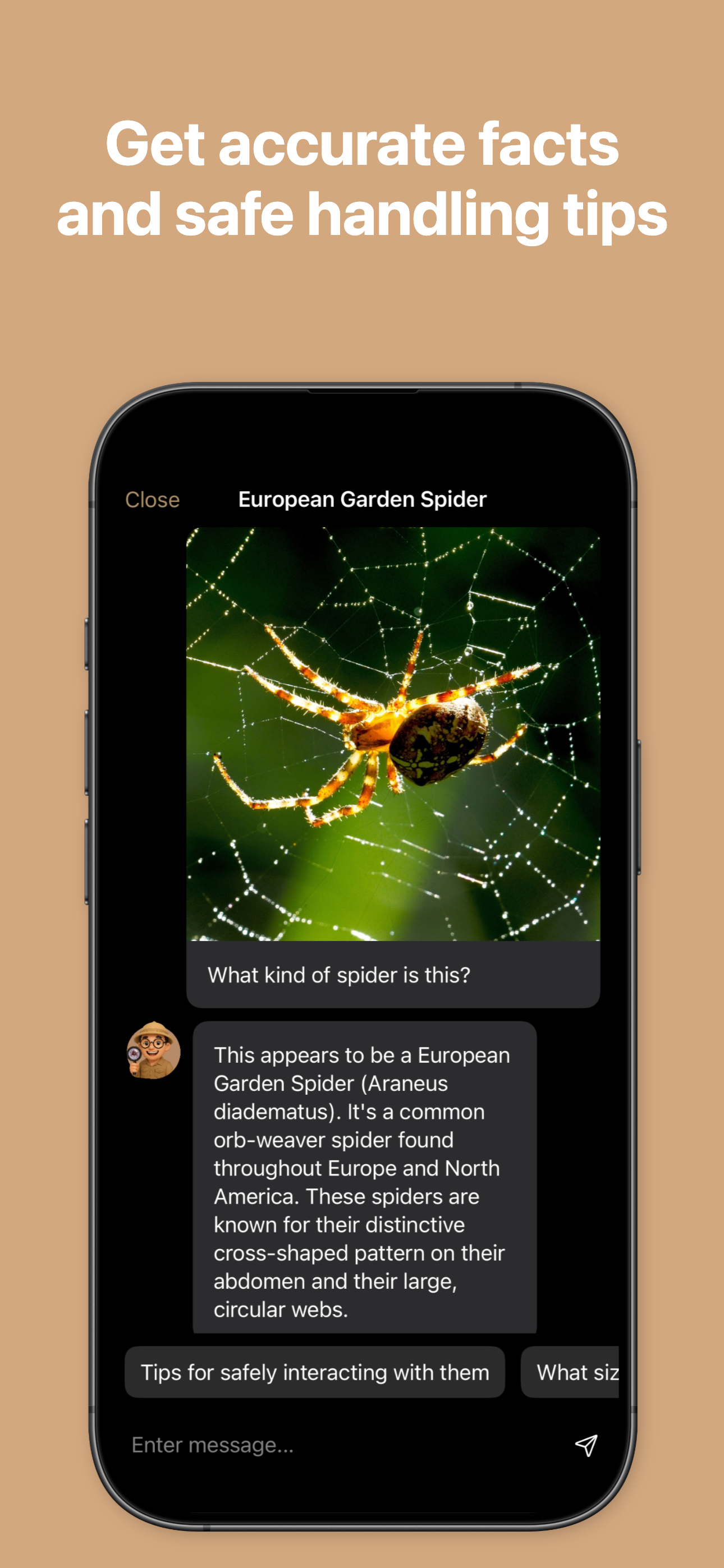 Spider Identifier: Spider AI screenshot 2