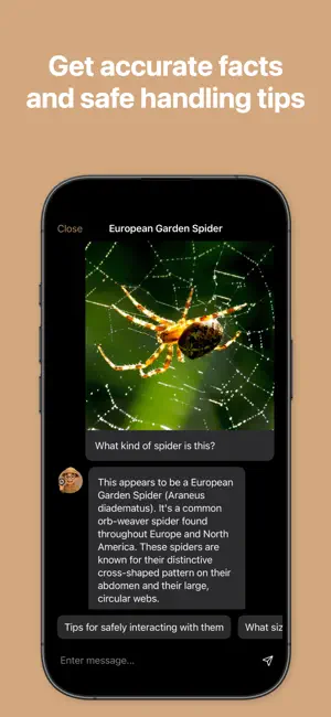 Spider Identifier: Spider AI screenshot 2