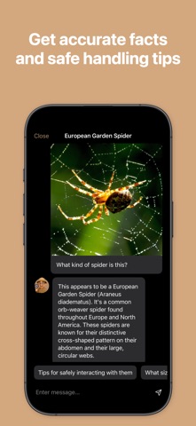 Spider Identifier: Spider AI Screenshot 2 of 3