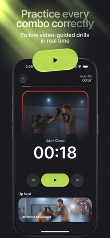 Knockout: Boxing Coach Screenshot 3 of 7