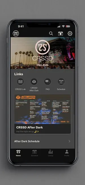 CRSSD festival screenshot 1