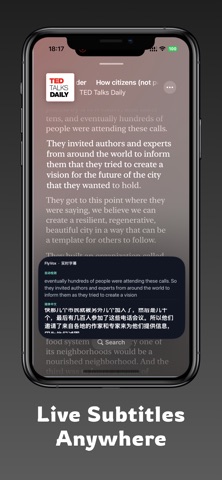 FlyVox screenshot 2