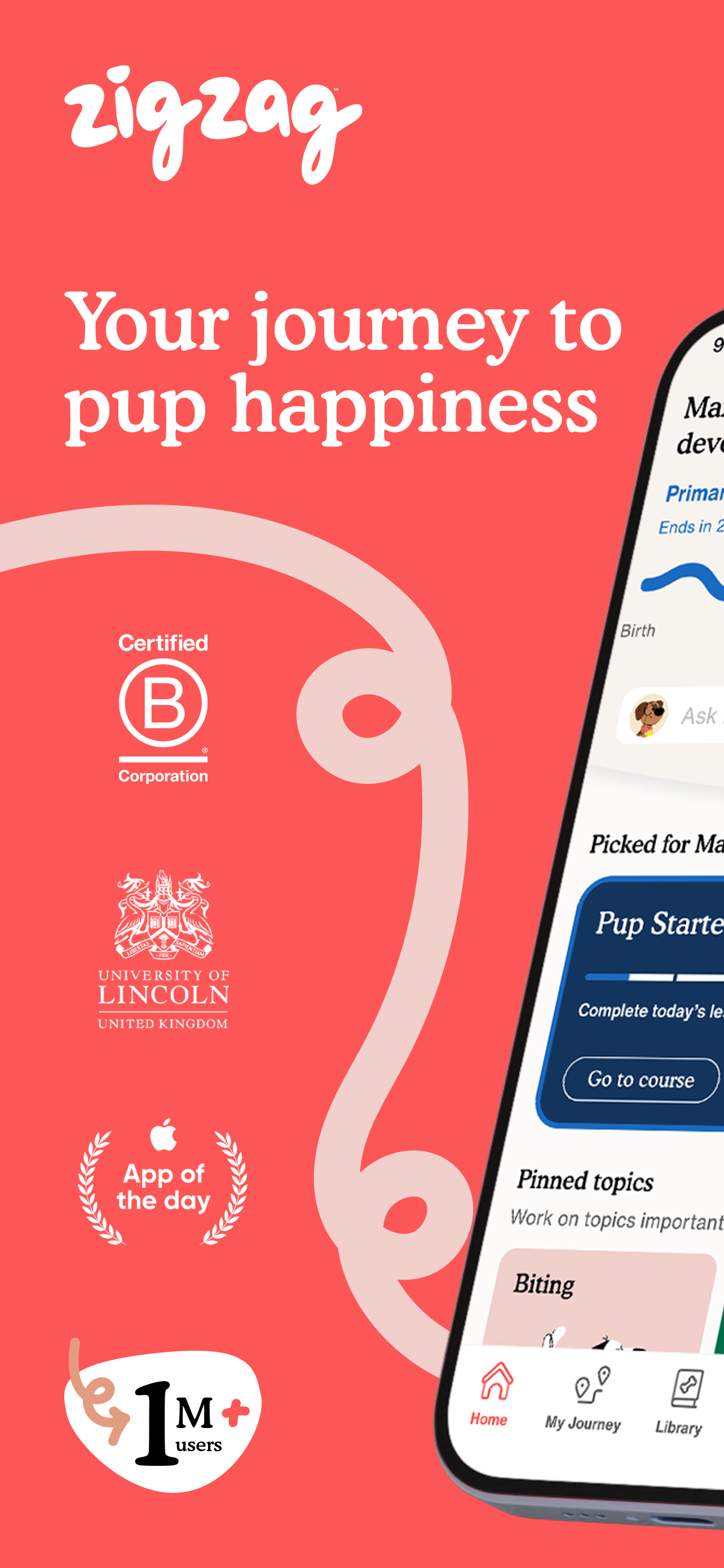 Zigzag - Dog & Puppy Training