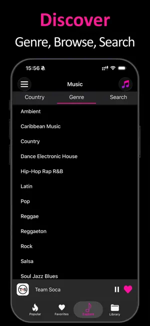 Offline Music Player ‣‣ screenshot 3