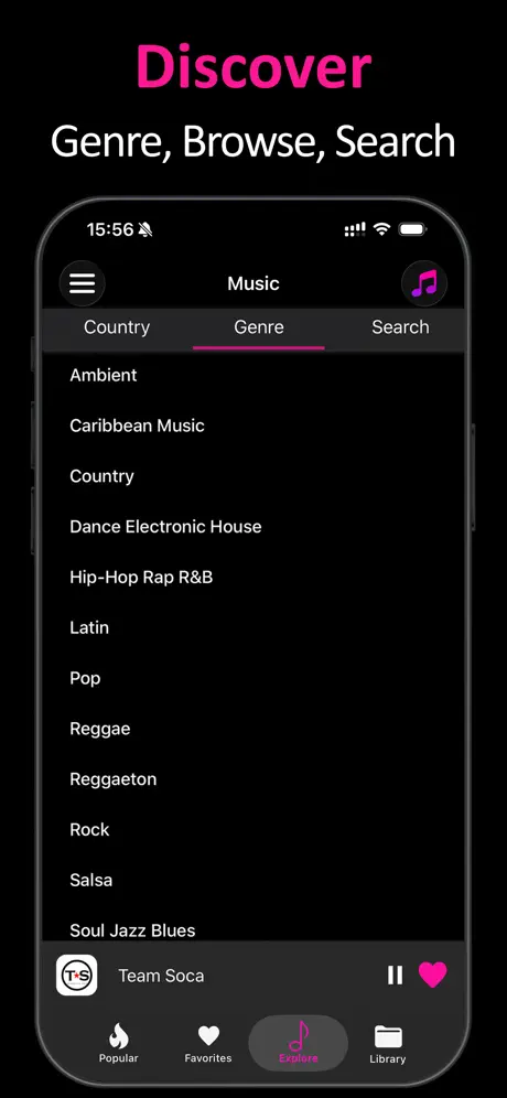 Offline Music Player ‣‣ screenshot 3