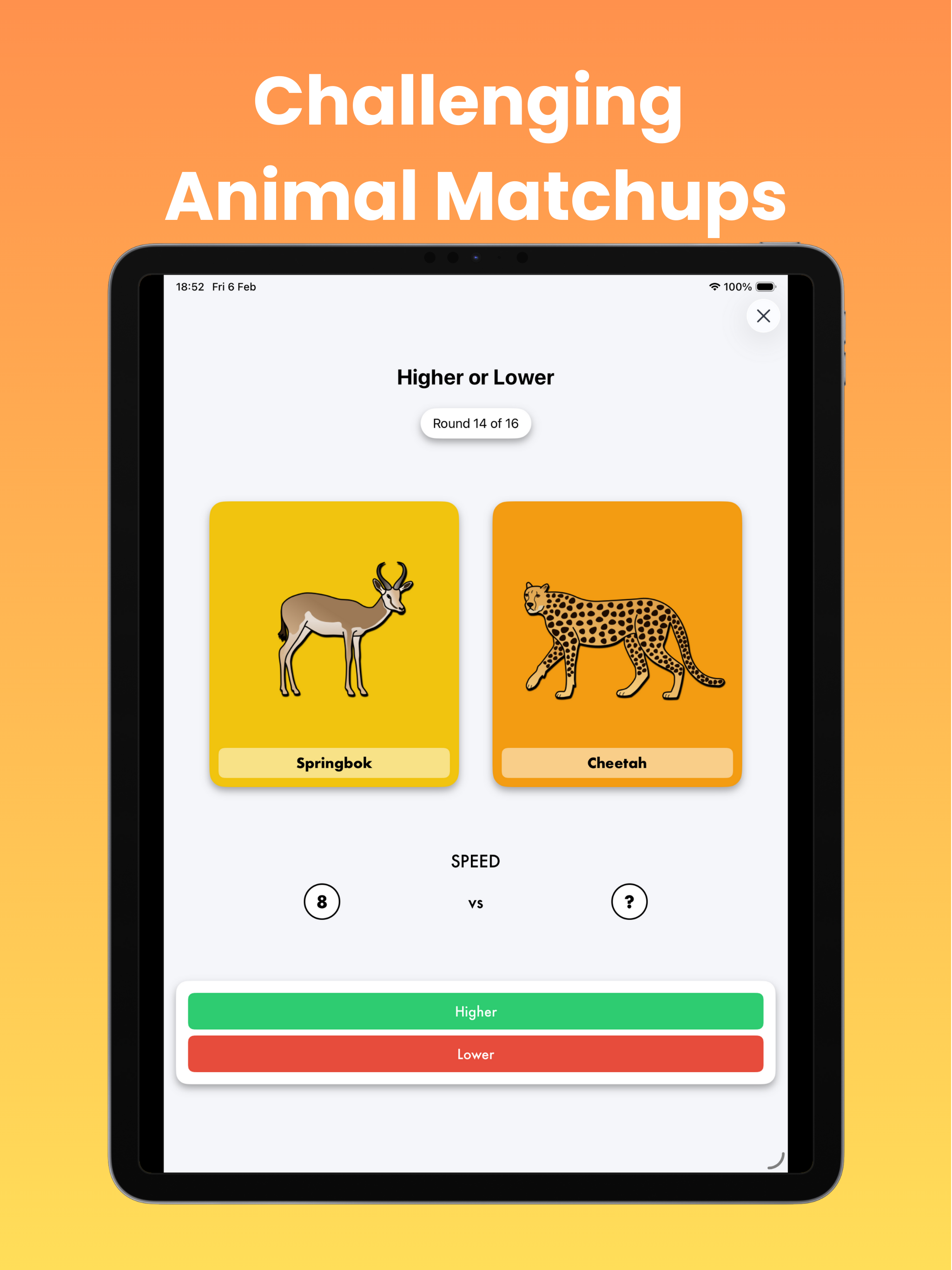 Safari Smackdown