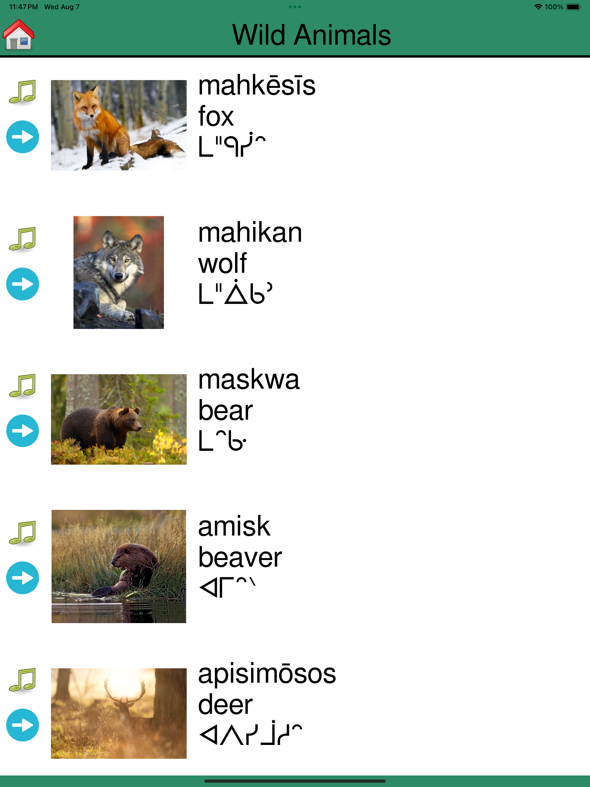 MLCN Cree Language App
