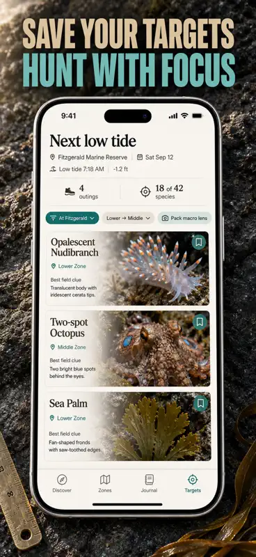 Tide Pool ID: Field Guide screenshot 8 of 10