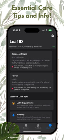 Leaf Identifier: AI Scanner Screenshot 4 of 4