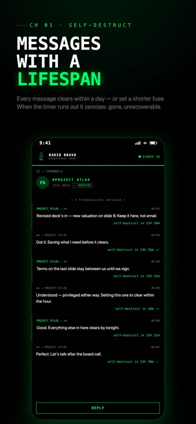 Radio Bravo screenshot 1