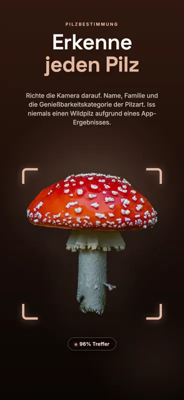 Pilzbestimmung: Pilzführer screenshot 1 of 6