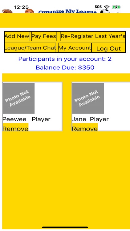 Organize My League screenshot-4