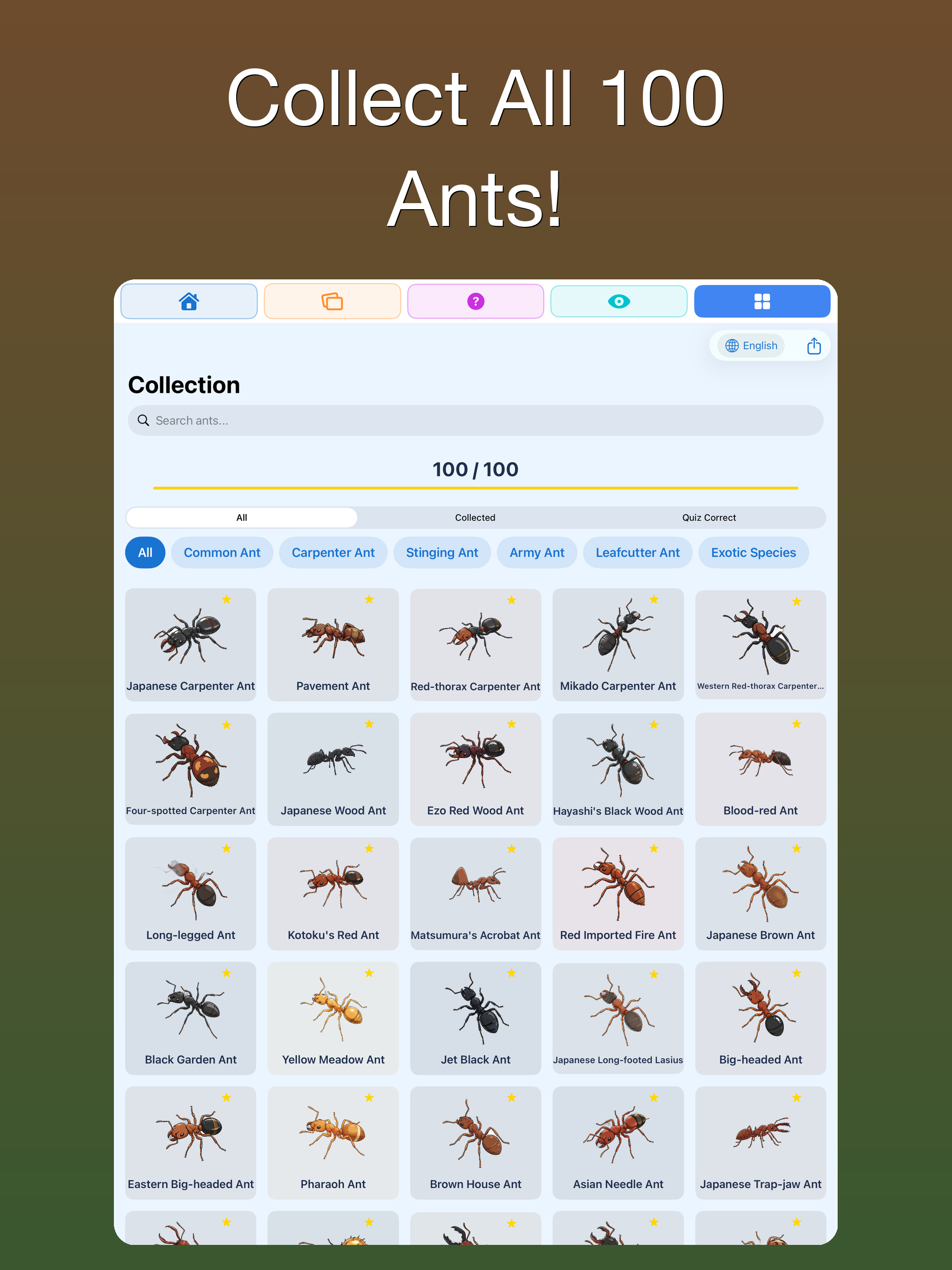 100 Ants for Kids screenshot 8