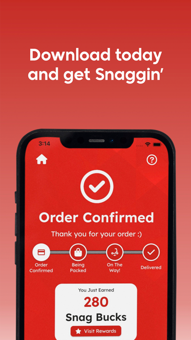 Snag Delivery Screenshot