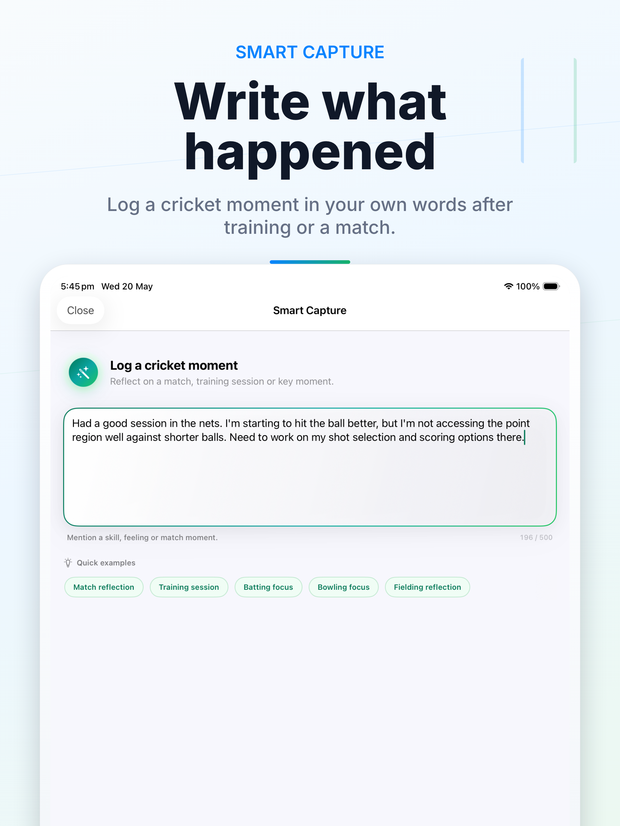 Switch Hit: Cricket Training
