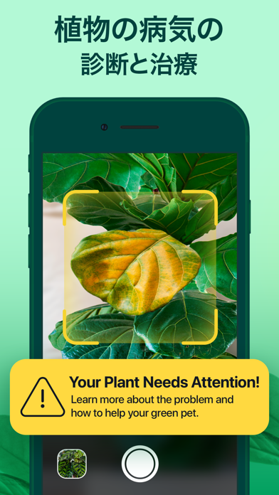 PlantGuru - 植物認識アプリ、花の名前を調べるのおすすめ画像6