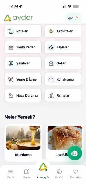 Ayder screenshot 2